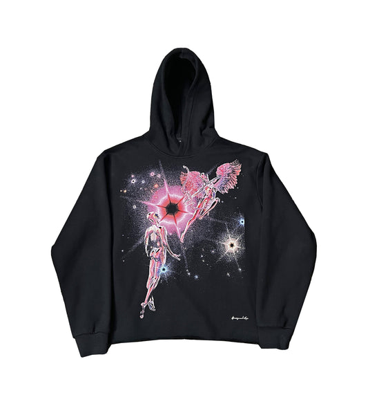 Passion And Desire Hoodie